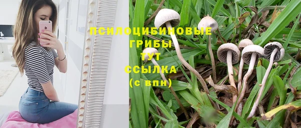 герыч Пестово
